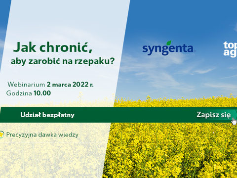 Jak chronić, aby zarobić na rzepaku? - zapraszamy na webinarium z Top agrar Polska