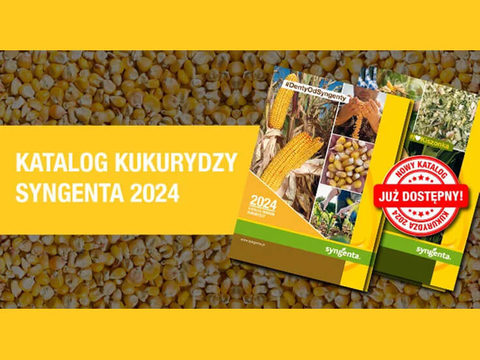 Nowy katalog odmian kukurydzy już jest dostępny!