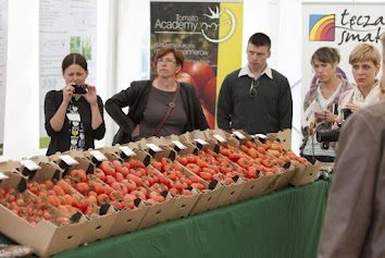 IV konferencja Tomato Academy