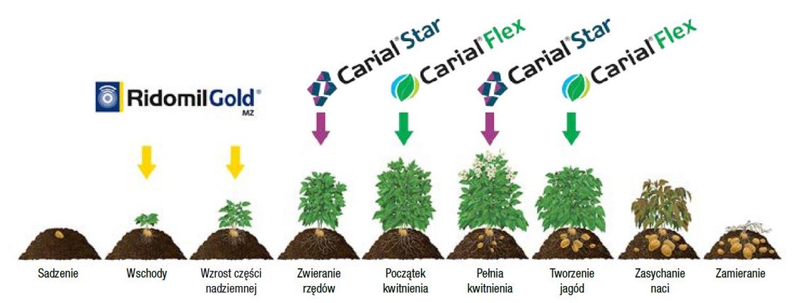 Fungicyd Carial Flex - gwiazdorska obsada