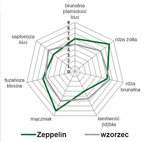 Pszenica jakościowa Zeppelin - odporność