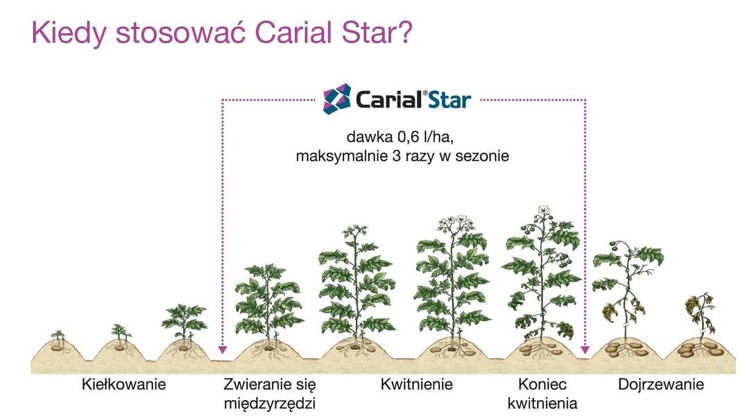 Fungicyd Carial Star - kiedy stosować?