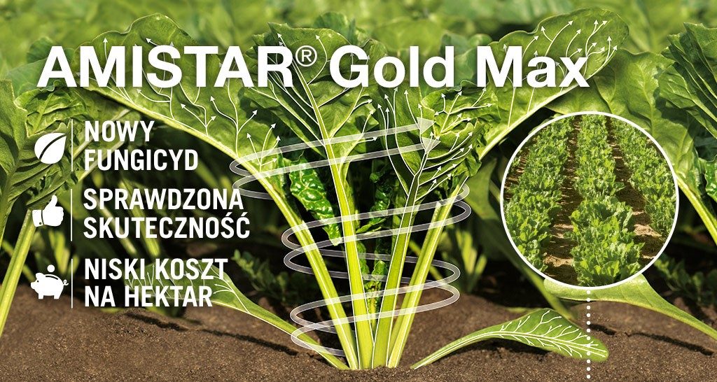 Fungicyd Amistar Gold Max