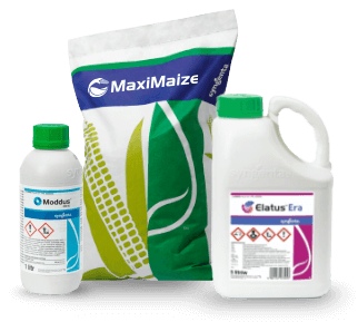 Gdzie kupić produkty Syngenta?
