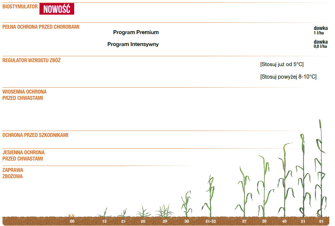 Program ochrony pszenicy 2023