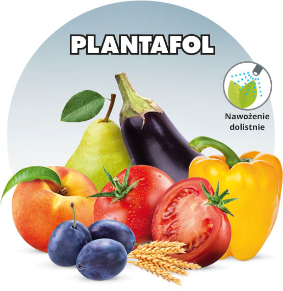 PLANTAFOL - Dlaczego warto stosować