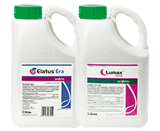 Kup min. 200l Elatus Era lub 600l Lumax