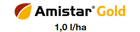 Program ochrony rzepaku 2025 Amistar Gold
