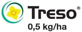 Program ochrony słonecznika Treso