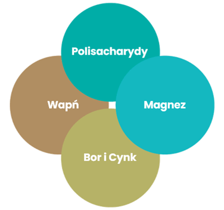 SWEET - jak działa efekt synergii