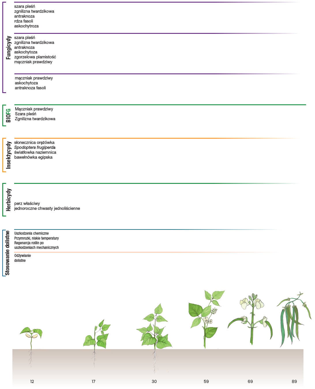 Program ochrony fasoli 2025