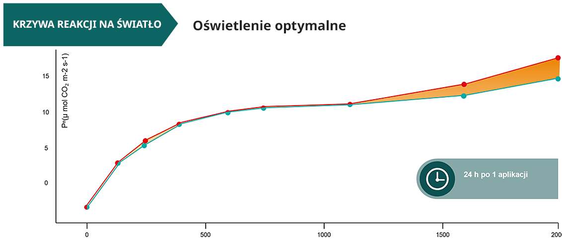 Wzrost roślin pomidora w optymalnych warunkach oświetlenia - pomiar 1