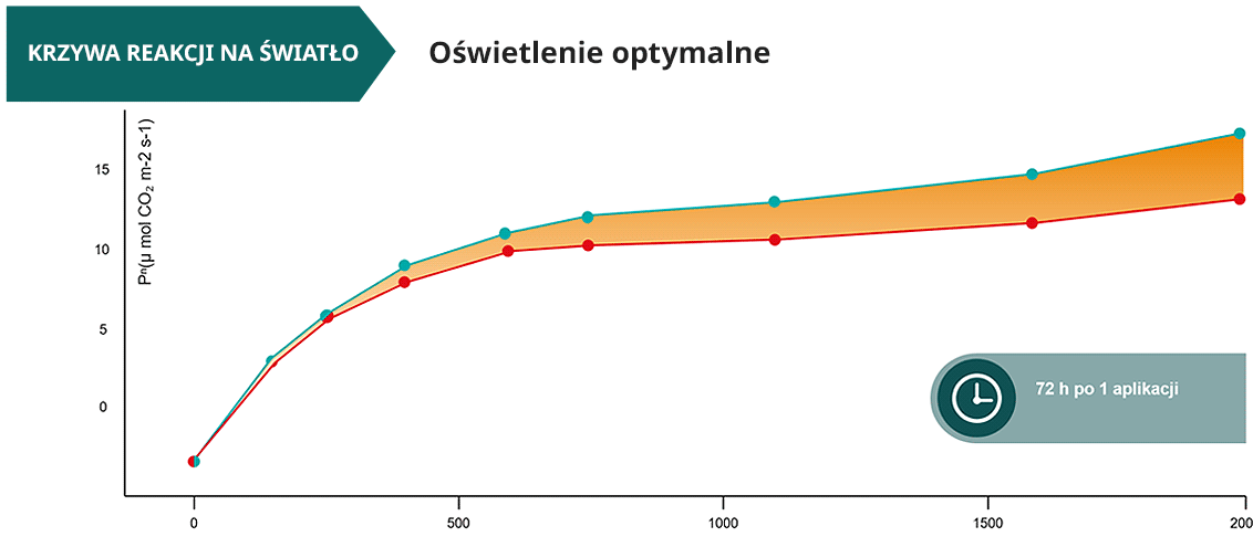 Wzrost roślin pomidora w optymalnych warunkach oświetlenia - pomiar 2