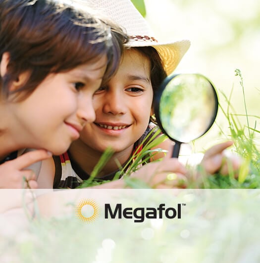 MEGAFOL - co zawiera