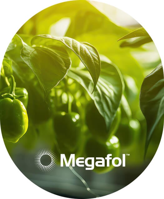 MEGAFOL - Dlaczego warto stosować