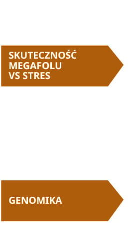 Megafol - skuteczność vs stres i genomika