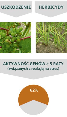 Megafol - Uszkodzenie i Herbicydy