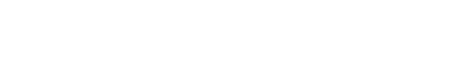 BOROPLUS