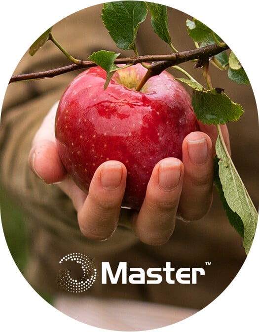 Master - Zalety stosowania