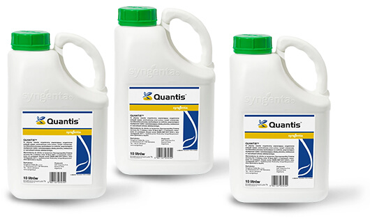 QUANTIS - opakowanie preparatu