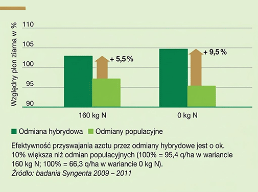 Większa efektywność przyswajania azotu