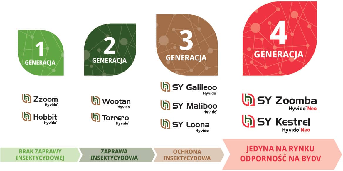 Rewolucja w jęczmieniu! 4 GENERACJA Hyvido® Neo