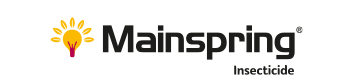 Mainspring