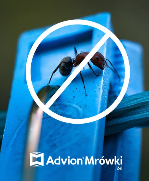 Advion Mrówki - Dlaczego warto stosować
