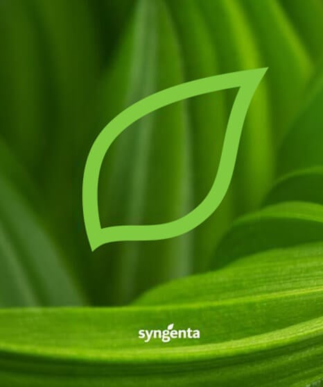 Kariera w Syngenta - Rozwijaj karierę i pomóż nam wyżywić świat