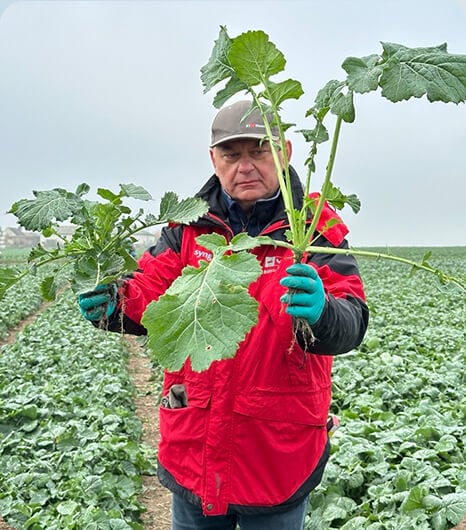 Kariera w Syngenta - Czym się zajmujemy