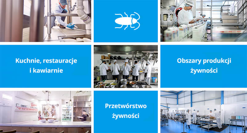 Jak stosować Advion Karaczany