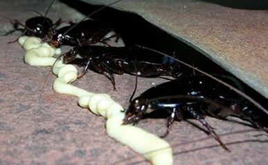 Aplikacja 2