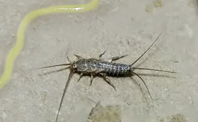 Aplikacja 2
