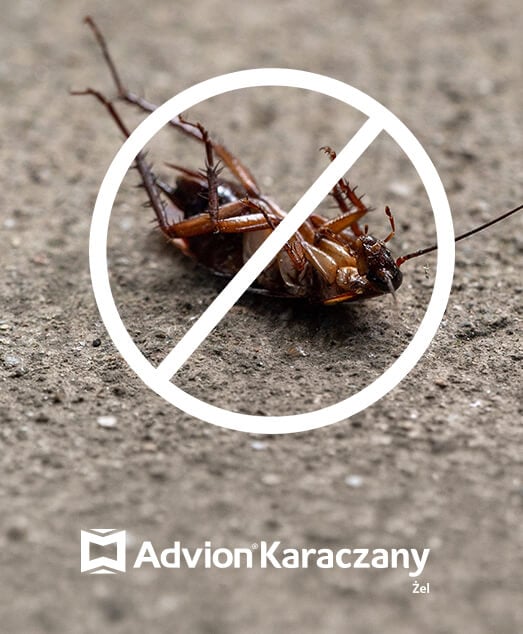 Advion Karaczany - Dlaczego warto stosować