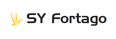 Kukurydza SY Fortago - odmiana na ziarno