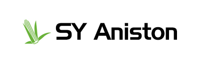 Kiszonka kukurydzy SY Aniston