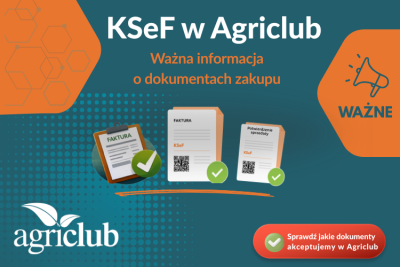 ksef