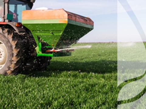 Program azotanowy – analiza wpływu na rolnictwo w 2019