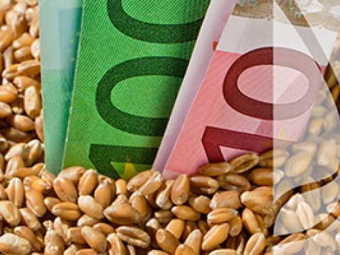 Dopłaty do nasion – kto może z nich korzystać?