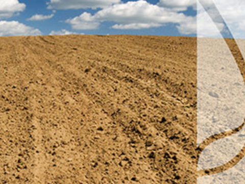 Tracenie wody z gleby – jakie praktyki mają na nią najgorszy wpływ?