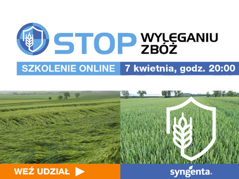 Webinar STOP wyleganiu, czyli regulacja zbóż w praktyce
