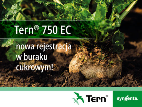 Tern® 750 EC – nowa rejestracja w buraku cukrowym!