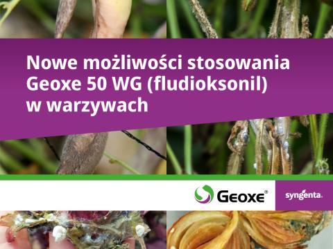 Syngenta Polska — producent środków ochrony roślin i nasion