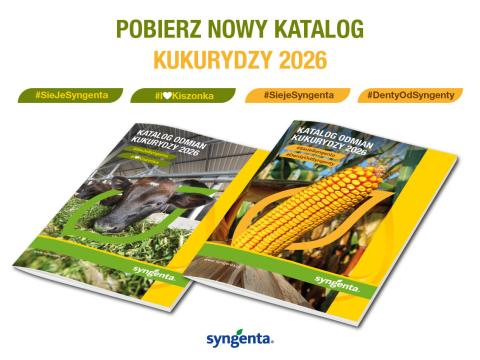 Nowy katalog odmian kukurydzy 2026 dostępny online!