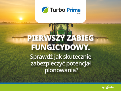 Pierwszy zabieg fungicydowy: jak skutecznie zabezpieczyć potencjał plonowania?