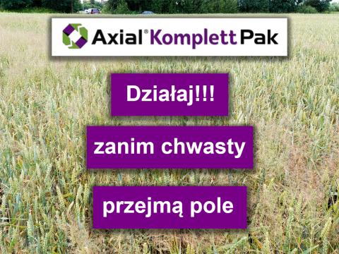 Działaj, zanim chwasty przejmą pole