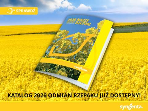 Katalog 2026 odmian rzepaku już dostępny!