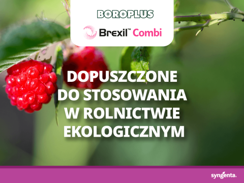 Grafika z maliną i napisem: „Dopuszczone do stosowania w rolnictwie ekologicznym”