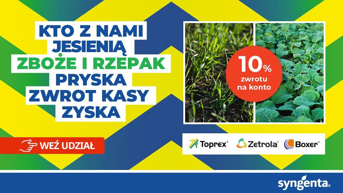 Grafika promocyjna: zielony przekaz „Kto z nami jesienią…”