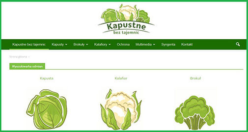 Kapustnebeztajemnic.pl - nowy serwis dla producentów warzyw kapustnych